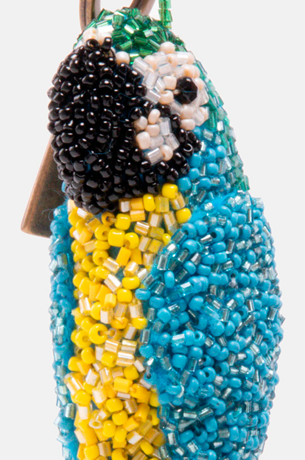 Charming Blue-and-yellow Macaw